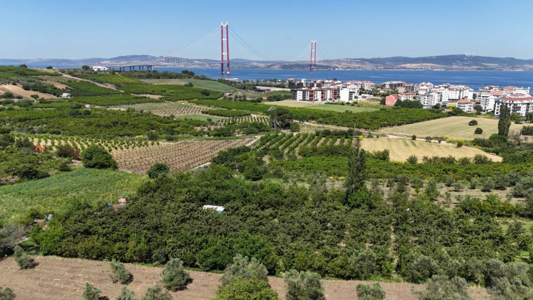 Çanakkale’de kiraz bereketi 1