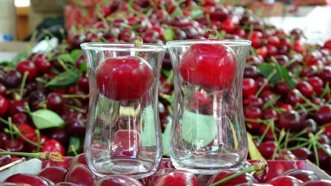 Çanakkale’de kiraz bereketi 4