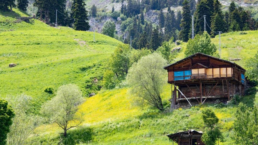 Artvin’in yaylaları ve yeşilin farklı tonları 12