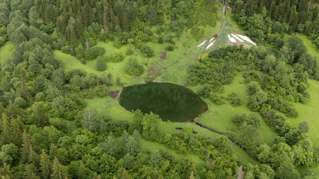 Artvin’in yaylaları ve yeşilin farklı tonları 13