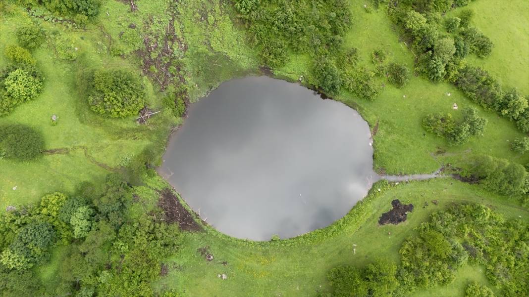 Artvin’in yaylaları ve yeşilin farklı tonları 2