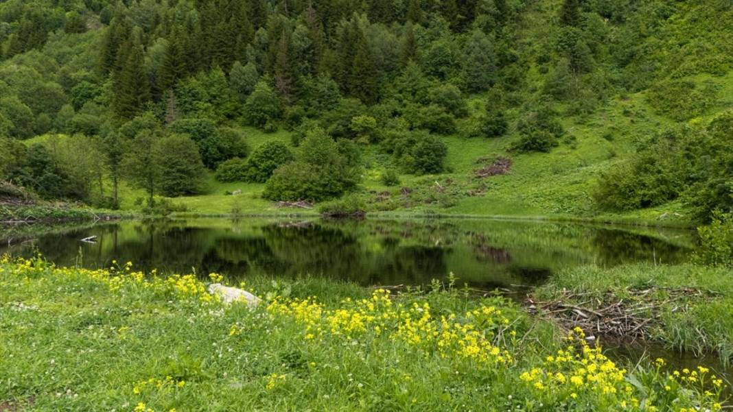 Artvin’in yaylaları ve yeşilin farklı tonları 3