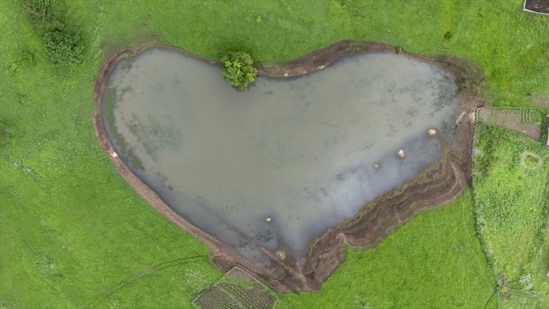 Artvin’in yaylaları ve yeşilin farklı tonları 4