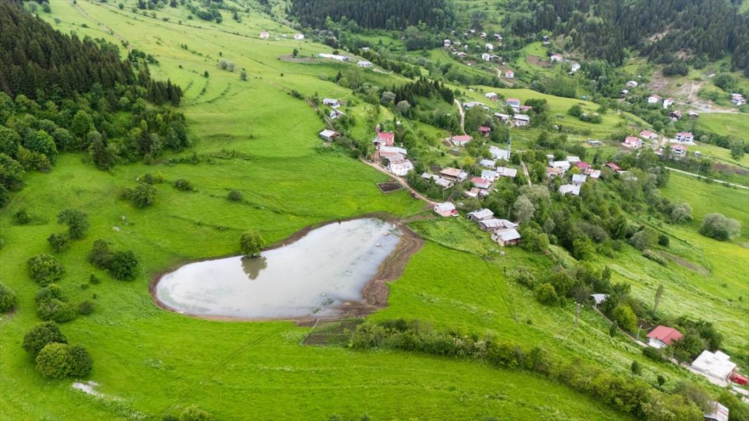 Artvin’in yaylaları ve yeşilin farklı tonları 5