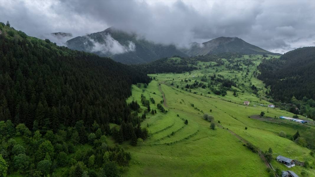 Artvin’in yaylaları ve yeşilin farklı tonları 9