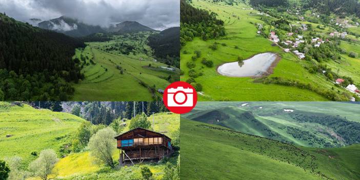 Artvin’in yaylaları ve yeşilin farklı tonları