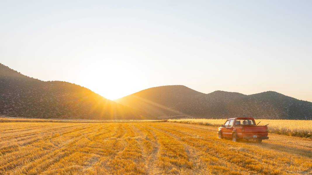 Sofralarımızın baştacı ekmeğin ana maddesi buğday hasadı 11