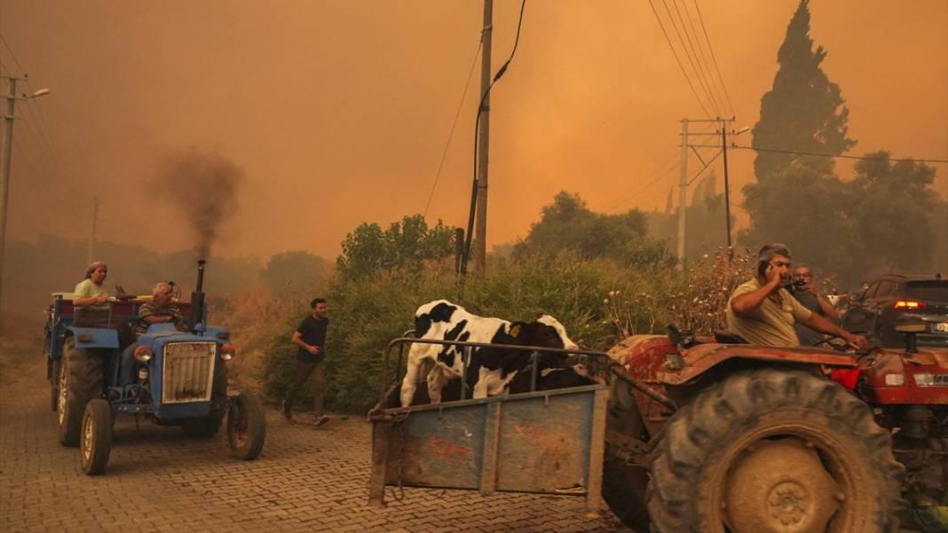 Ödemiş'teki orman yangınında el birliği ile müdahale edildi 1