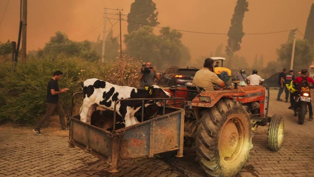Ödemiş'teki orman yangınında el birliği ile müdahale edildi 10