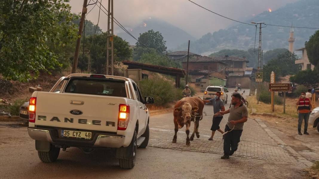 Ödemiş'teki orman yangınında el birliği ile müdahale edildi 11
