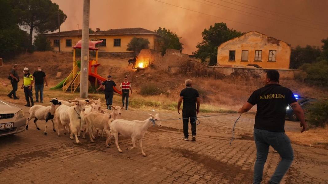 Ödemiş'teki orman yangınında el birliği ile müdahale edildi 12
