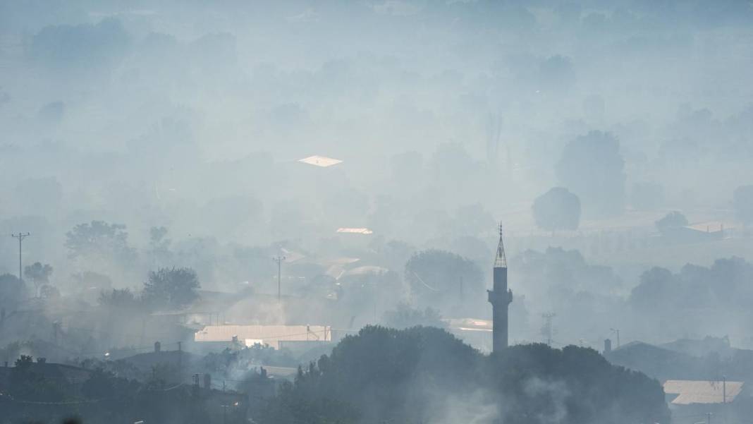 Ödemiş'teki orman yangınında el birliği ile müdahale edildi 16