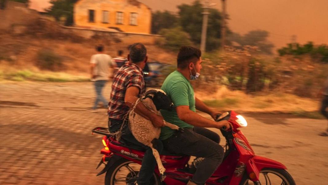 Ödemiş'teki orman yangınında el birliği ile müdahale edildi 2