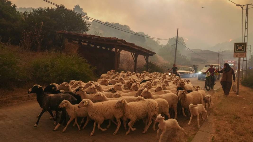 Ödemiş'teki orman yangınında el birliği ile müdahale edildi 6