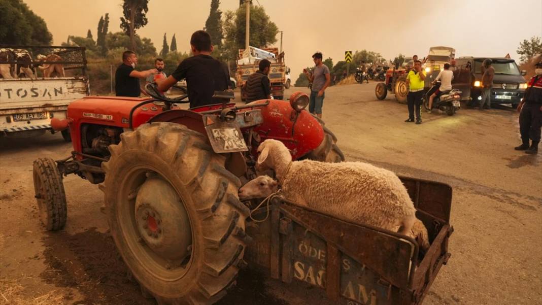 Ödemiş'teki orman yangınında el birliği ile müdahale edildi 8