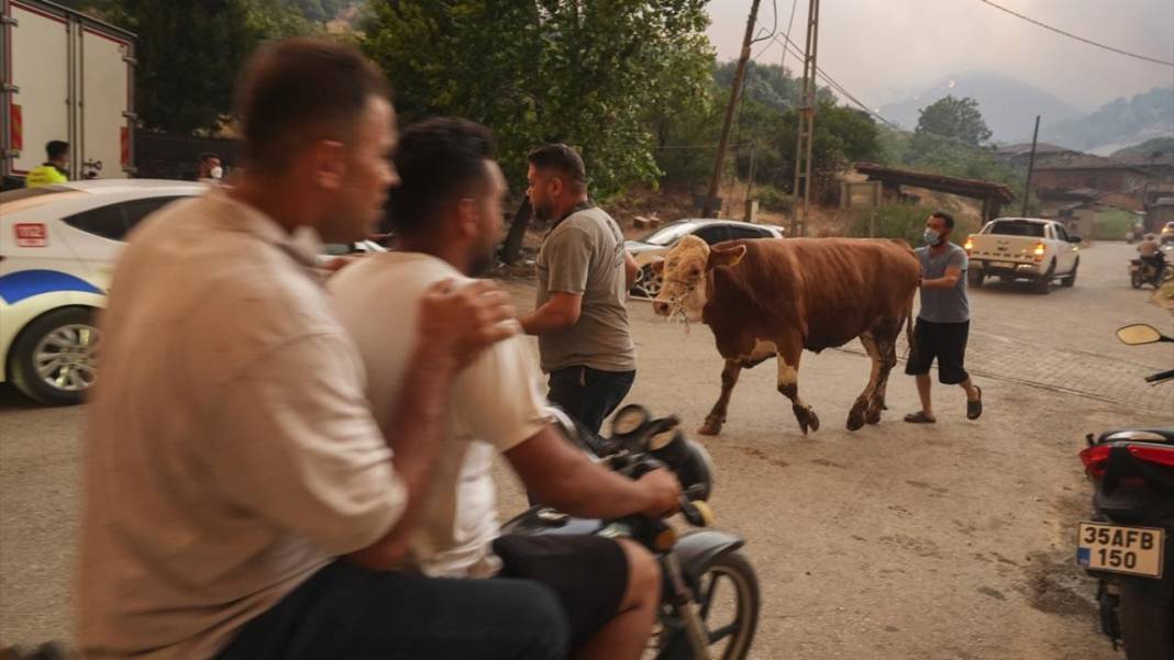 Ödemiş'teki orman yangınında el birliği ile müdahale edildi 9