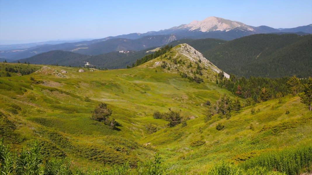 Ilgaz Dağı'nın zirvesinde bahar yeni yaşanıyor 8