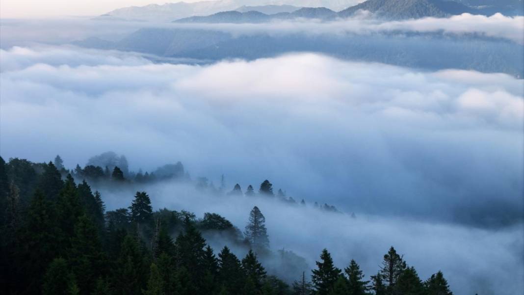 Kaçkar Dağları Milli Parkı’nda 'sis denizi' görüntülendi 10