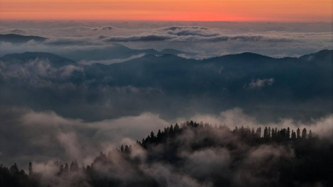 Kaçkar Dağları Milli Parkı’nda 'sis denizi' görüntülendi 11