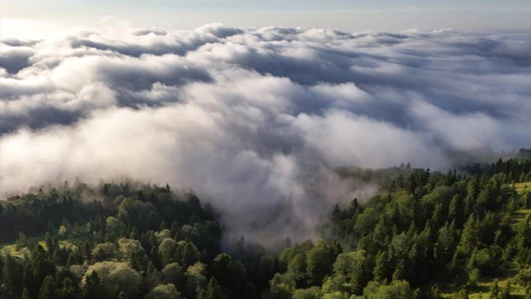 Kaçkar Dağları Milli Parkı’nda 'sis denizi' görüntülendi 6