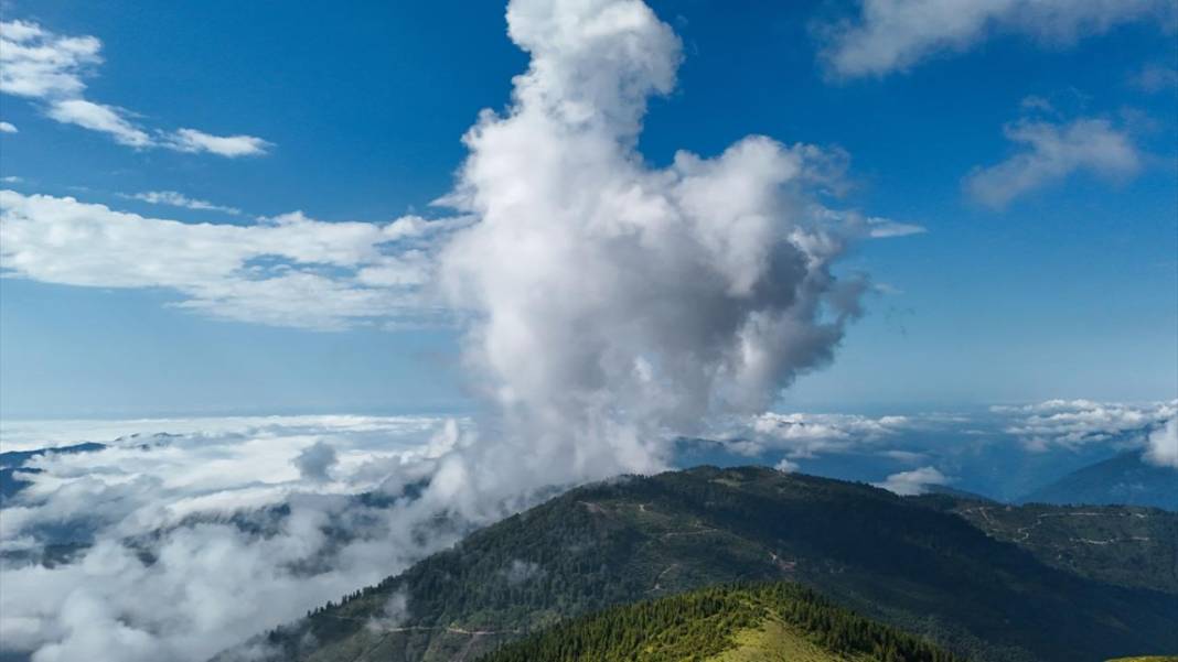 Kaçkar Dağları Milli Parkı’nda 'sis denizi' görüntülendi 7