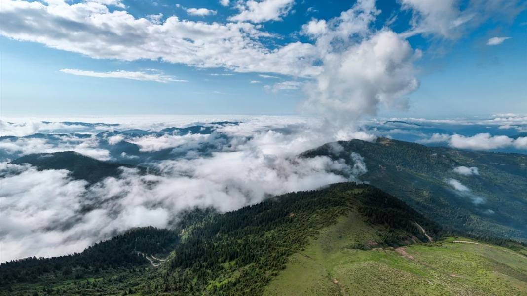 Kaçkar Dağları Milli Parkı’nda 'sis denizi' görüntülendi 8