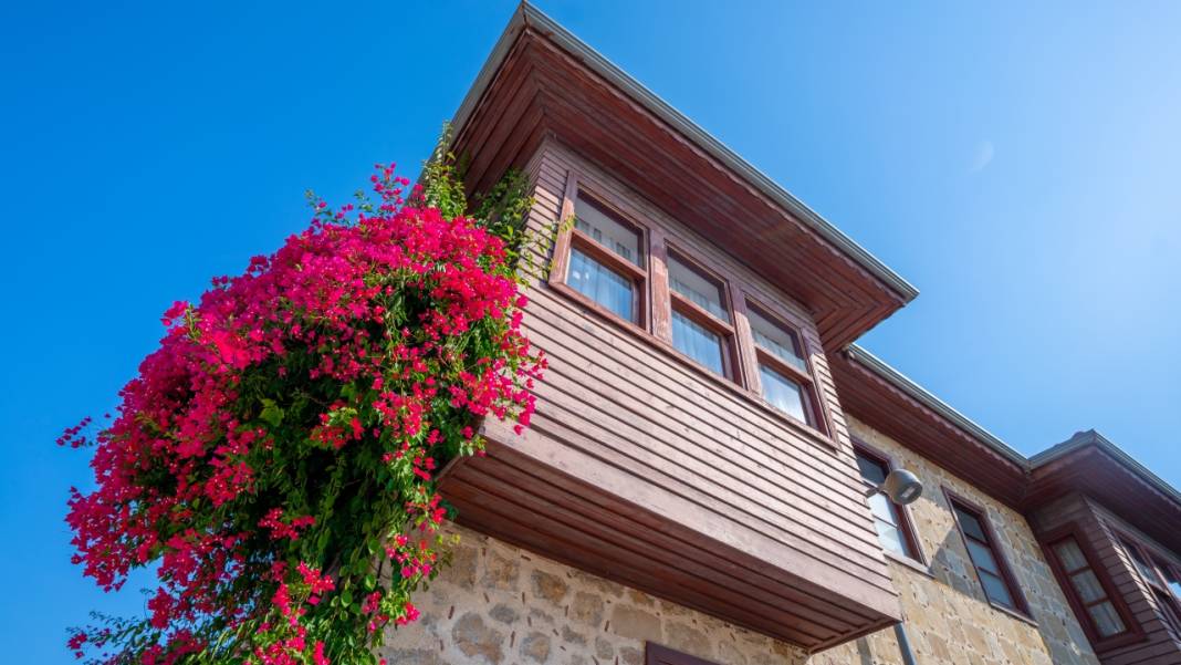 Begonvil çiçekleri sokakları süslüyor 12