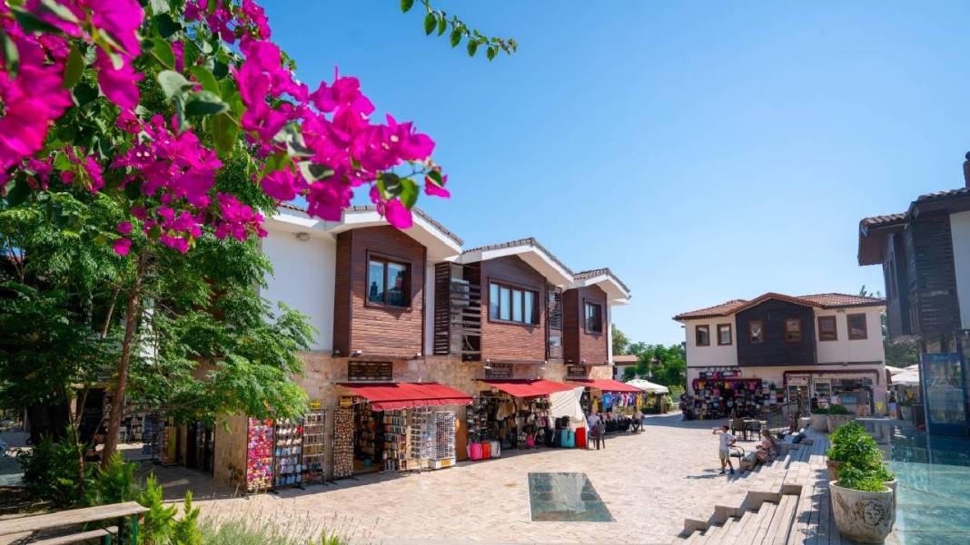 Begonvil çiçekleri sokakları süslüyor 14