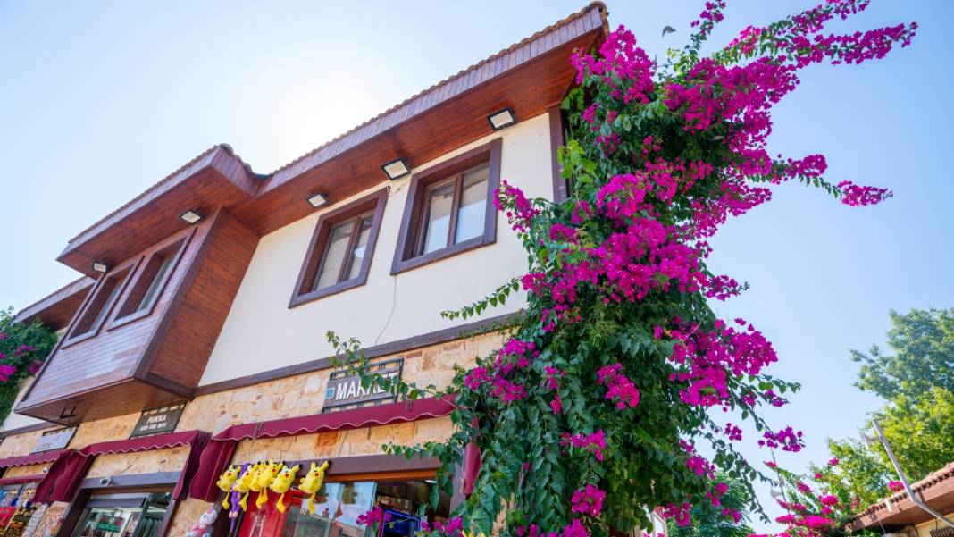 Begonvil çiçekleri sokakları süslüyor 2