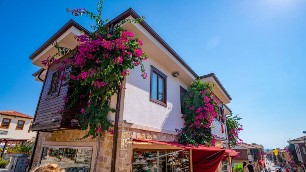 Begonvil çiçekleri sokakları süslüyor 3