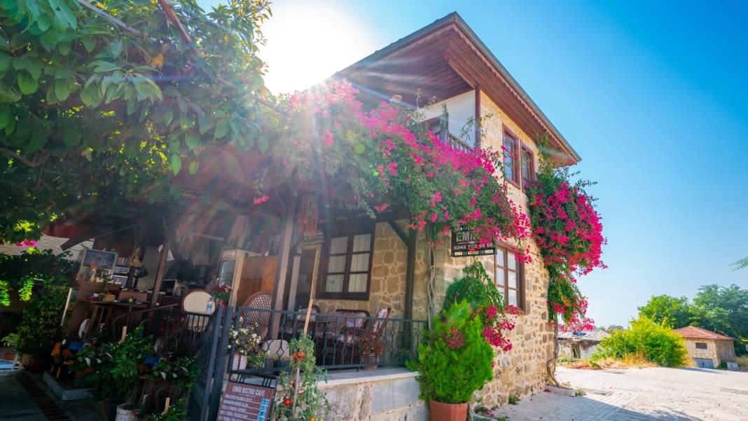 Begonvil çiçekleri sokakları süslüyor 7