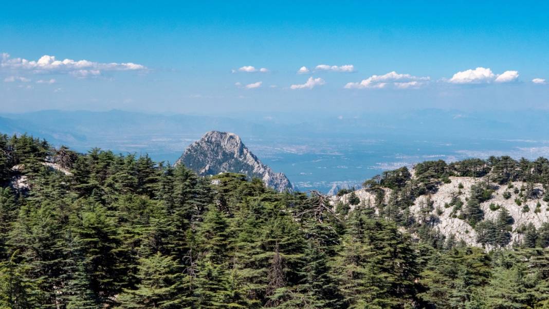 Muhteşem manzarasıyla Sarıçınar 10