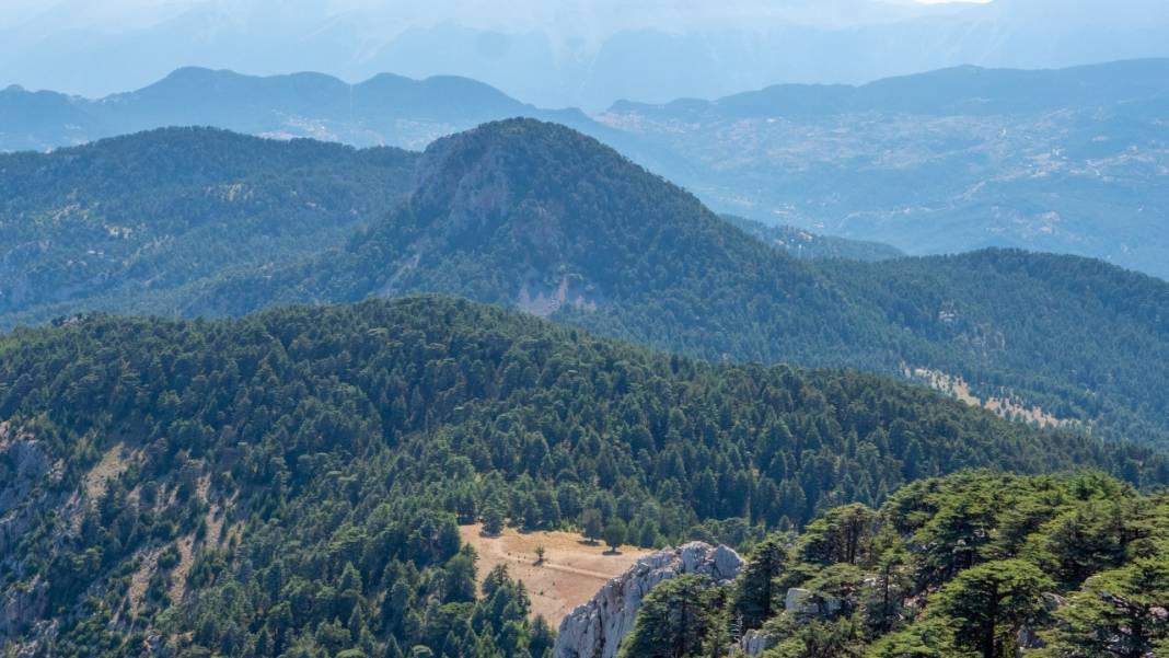 Muhteşem manzarasıyla Sarıçınar 11