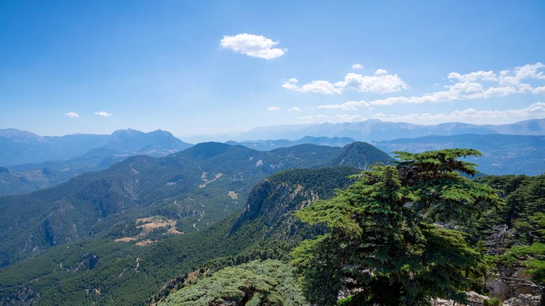 Muhteşem manzarasıyla Sarıçınar 2