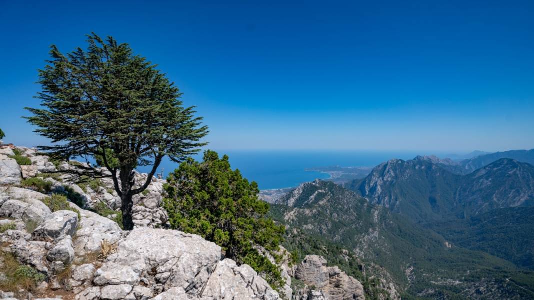 Muhteşem manzarasıyla Sarıçınar 3