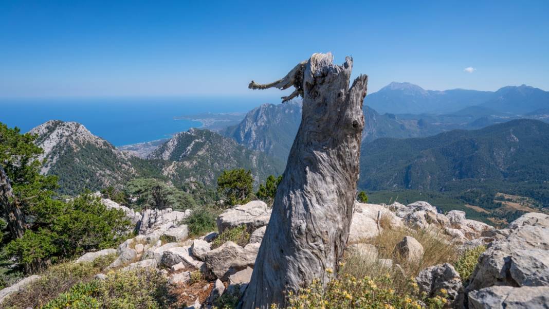 Muhteşem manzarasıyla Sarıçınar 7