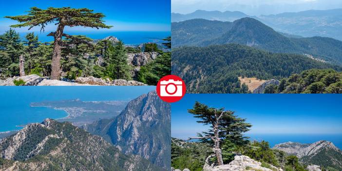 Muhteşem manzarasıyla Sarıçınar