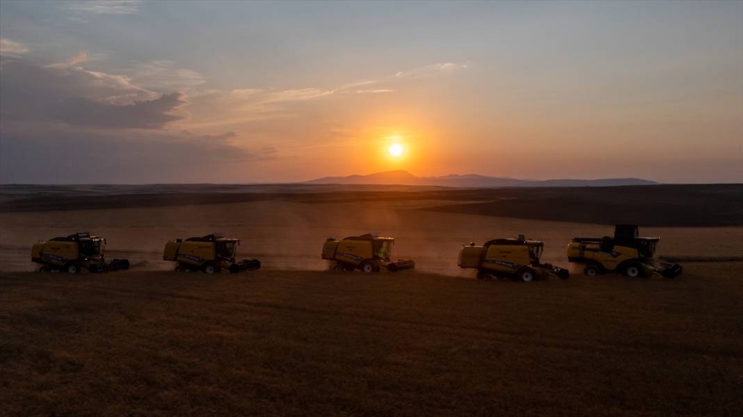 Ankara’da buğday hasadı mesaisi gece gündüz sürüyor 1