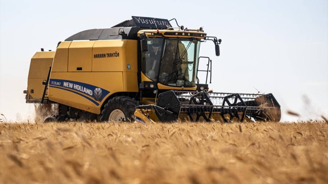 Ankara’da buğday hasadı mesaisi gece gündüz sürüyor 10