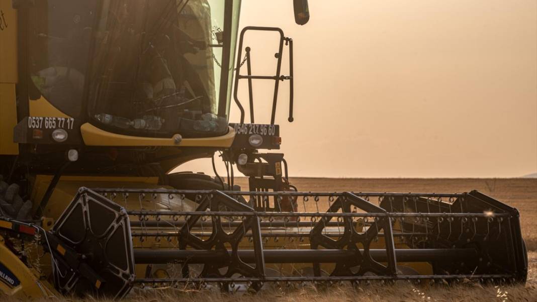 Ankara’da buğday hasadı mesaisi gece gündüz sürüyor 13