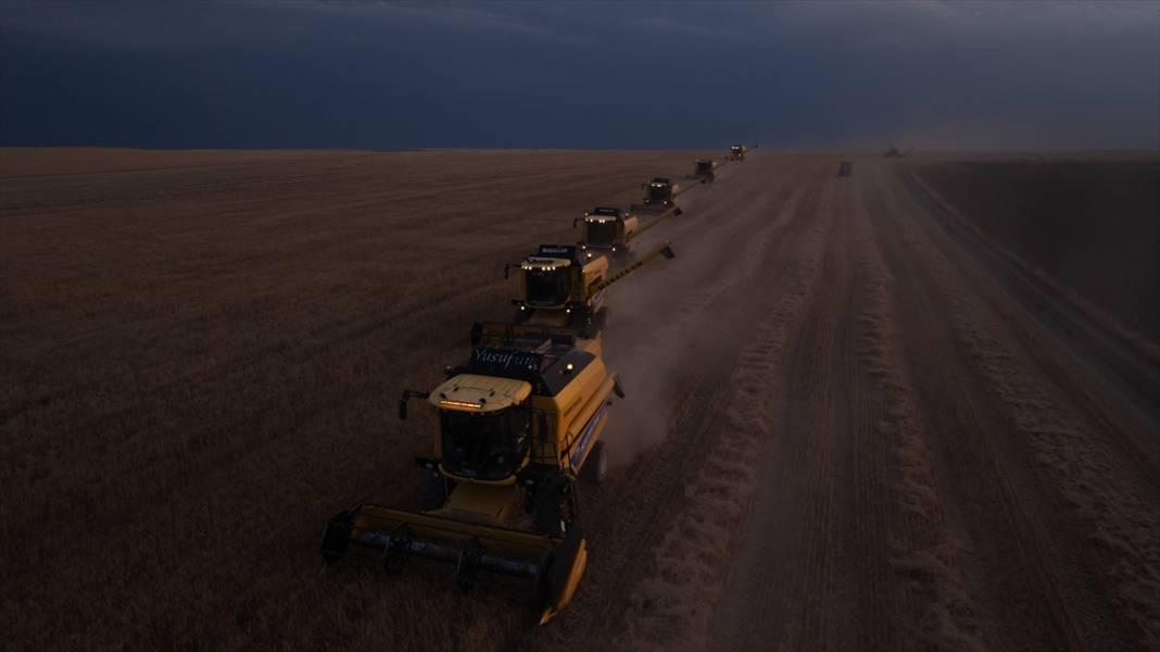 Ankara’da buğday hasadı mesaisi gece gündüz sürüyor 2