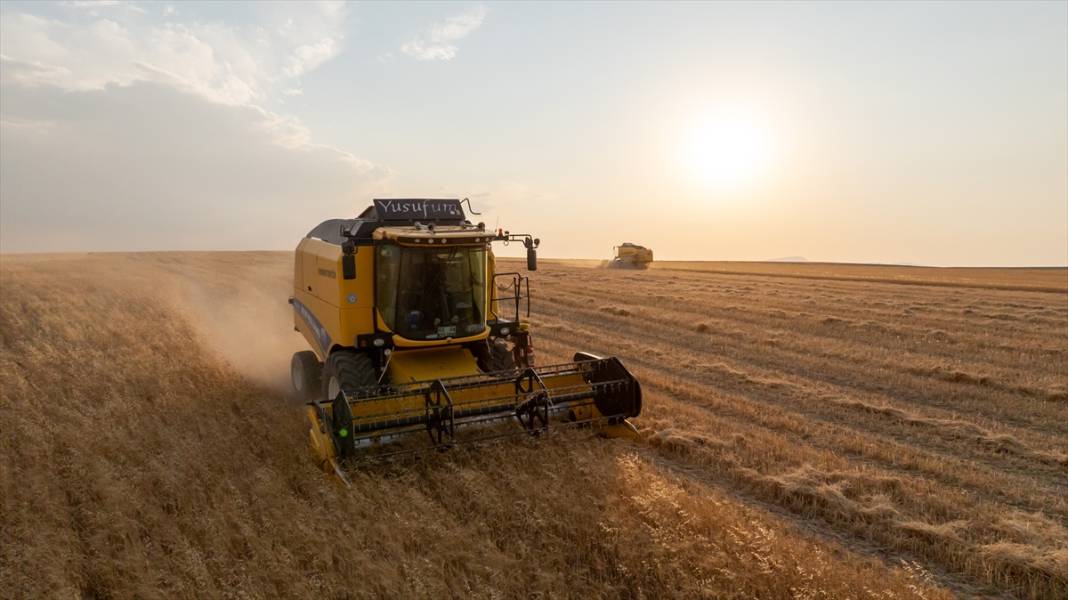 Ankara’da buğday hasadı mesaisi gece gündüz sürüyor 3