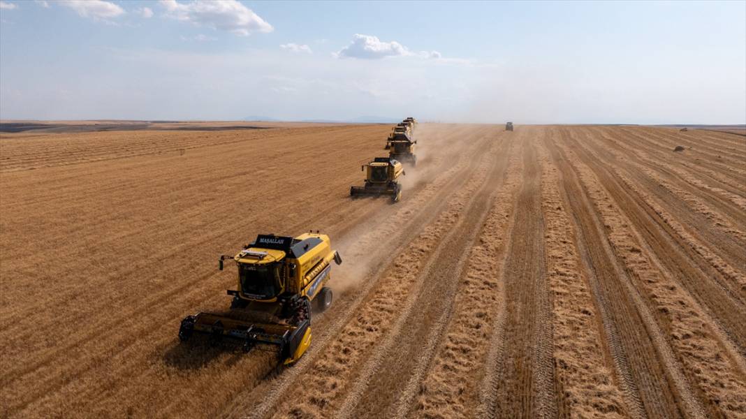 Ankara’da buğday hasadı mesaisi gece gündüz sürüyor 4
