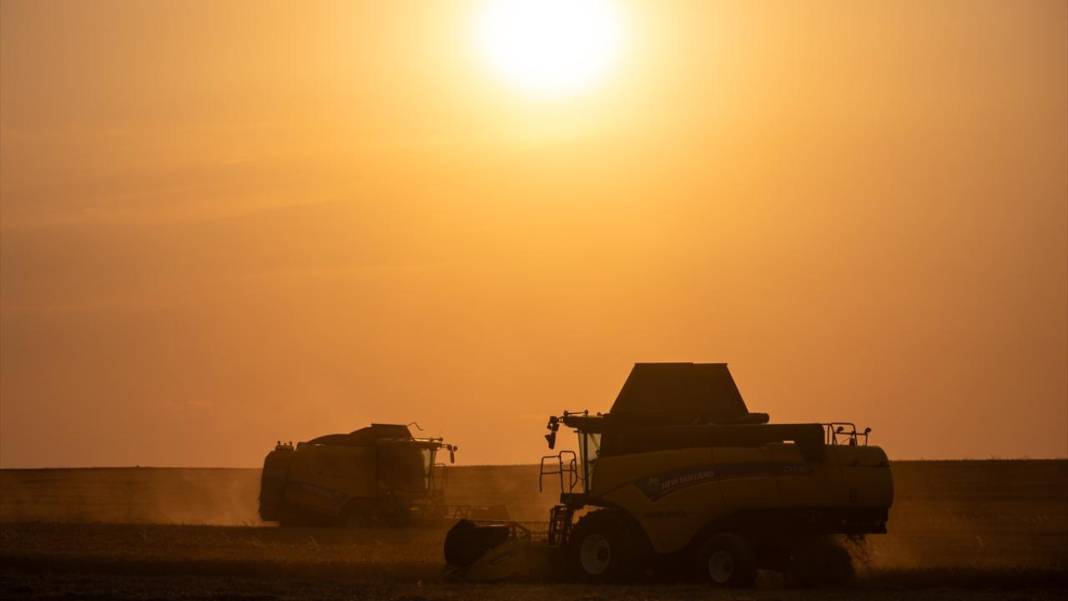Ankara’da buğday hasadı mesaisi gece gündüz sürüyor 5