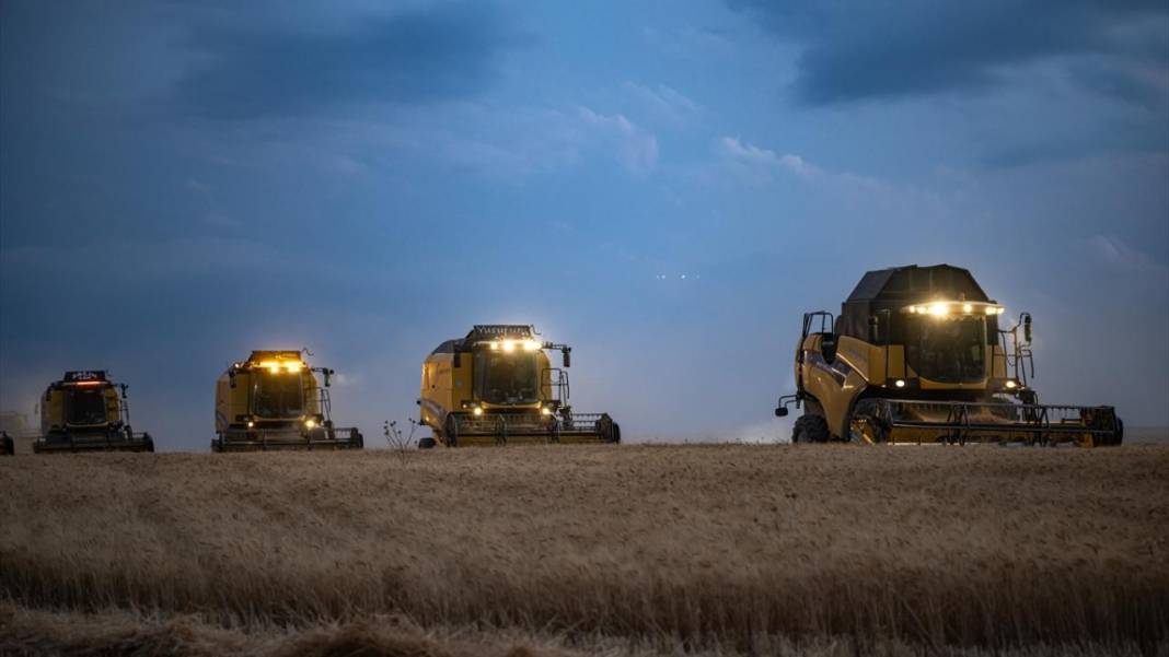 Ankara’da buğday hasadı mesaisi gece gündüz sürüyor 6