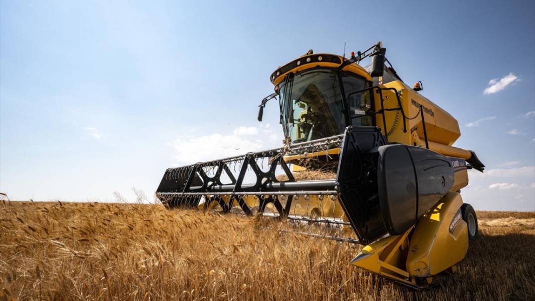 Ankara’da buğday hasadı mesaisi gece gündüz sürüyor 7