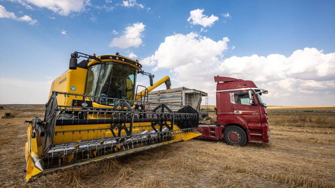 Ankara’da buğday hasadı mesaisi gece gündüz sürüyor 8