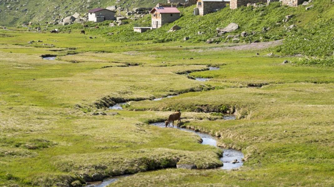 Yaz aylarının aranan bölgesi Kaçkar Dağları 7