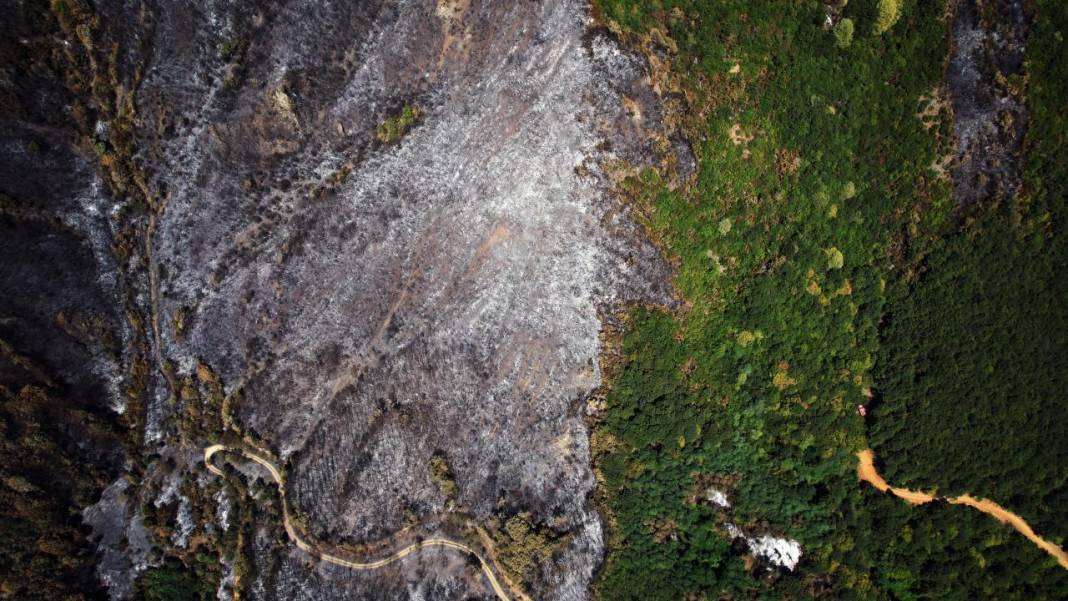 Yangın sonrası acı tablo: 'Yeşil' ve 'siyah' yan yana 1