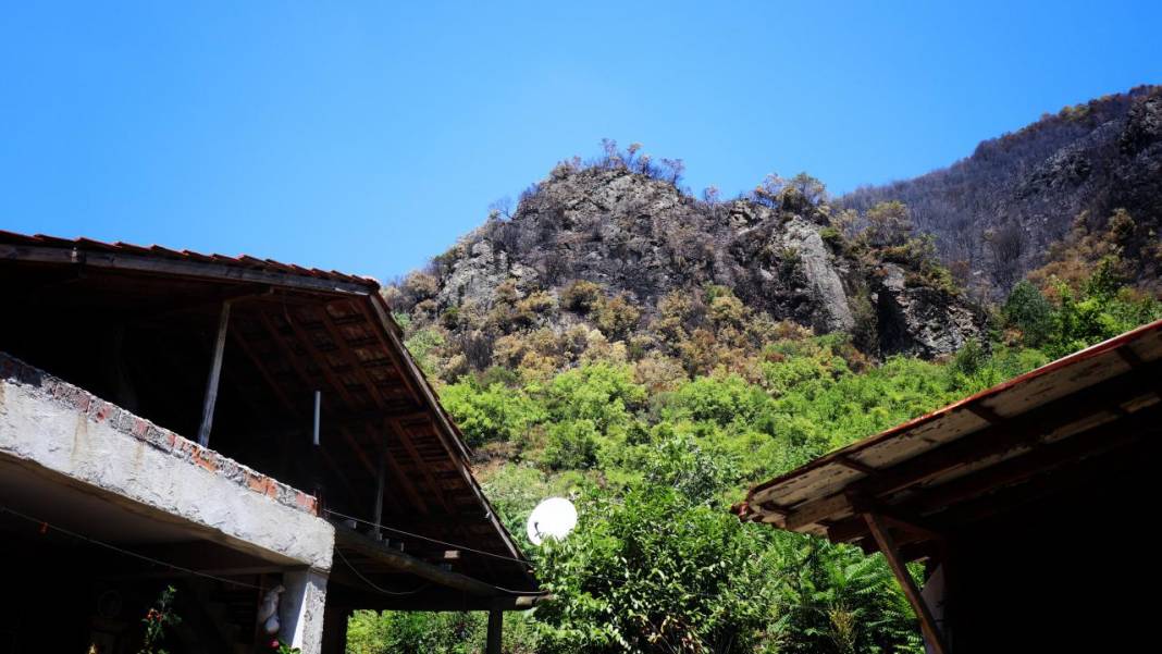 Yangın sonrası acı tablo: 'Yeşil' ve 'siyah' yan yana 10